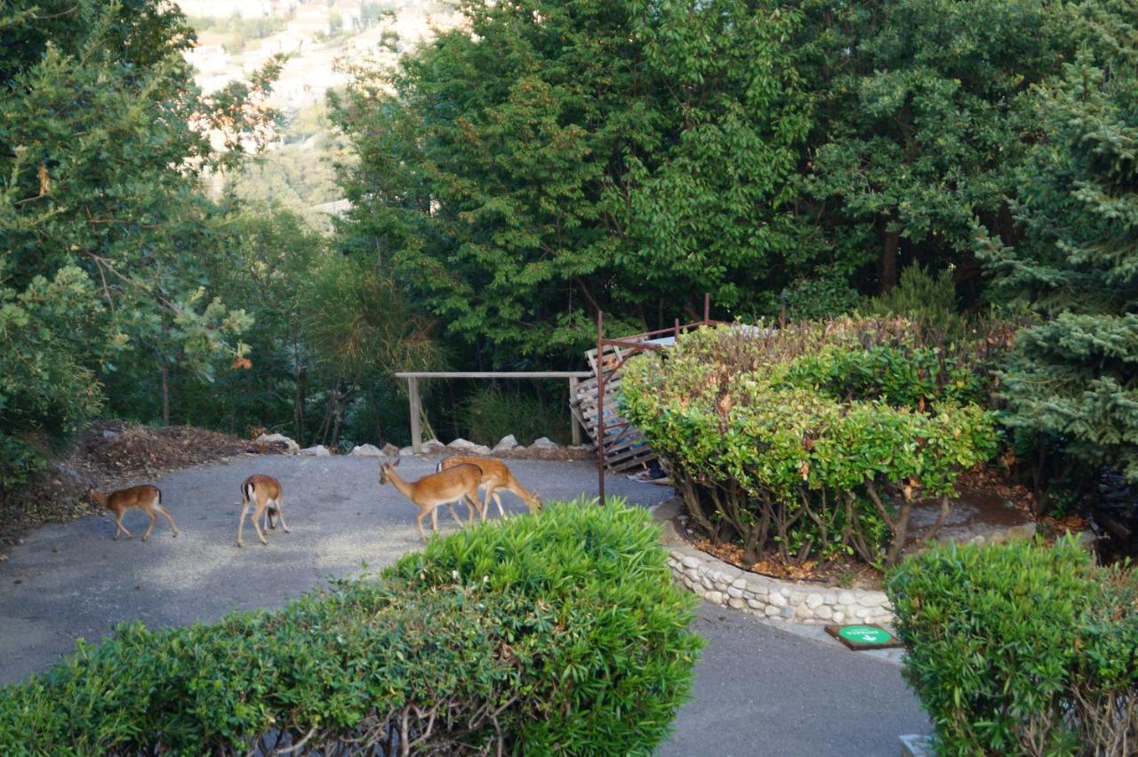Belbea Tourist Resort Balestrino Bagian luar foto